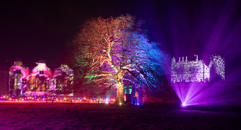 A nightime scene shows a tree and historic buildings lit with dramatic coloured lights in pink, blue, orange and green.